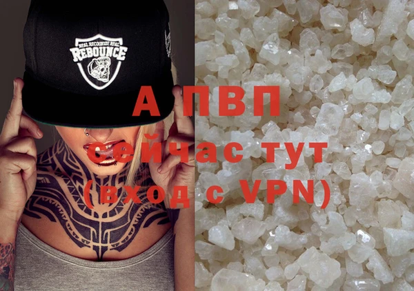 ГАЛЛЮЦИНОГЕННЫЕ ГРИБЫ Абаза