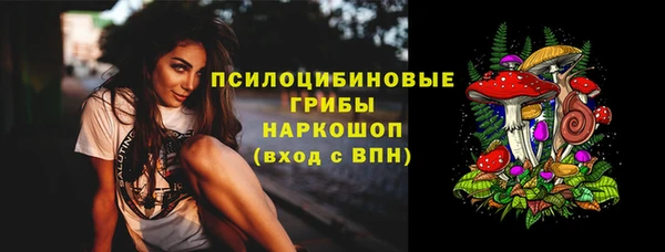 ГАЛЛЮЦИНОГЕННЫЕ ГРИБЫ Абаза