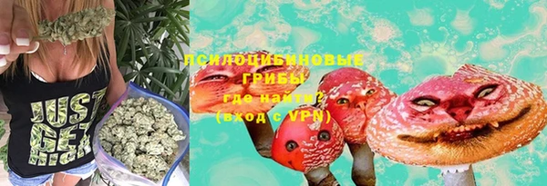 крисы Абинск