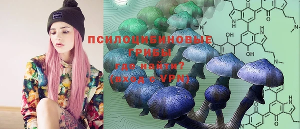 крисы Абинск