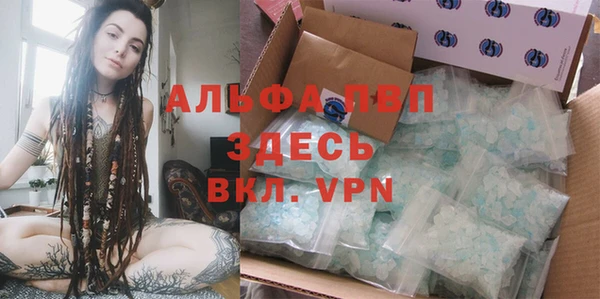 ГАЛЛЮЦИНОГЕННЫЕ ГРИБЫ Абаза