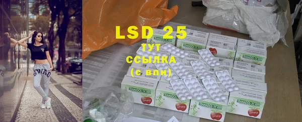 ГАЛЛЮЦИНОГЕННЫЕ ГРИБЫ Абаза