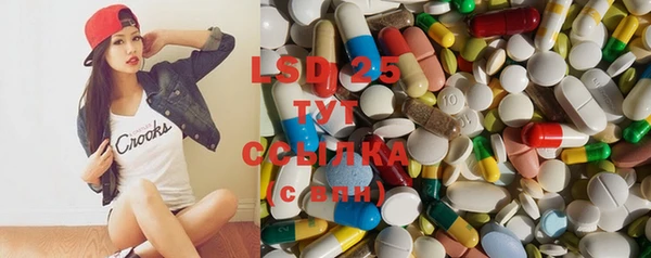 ГАЛЛЮЦИНОГЕННЫЕ ГРИБЫ Абаза